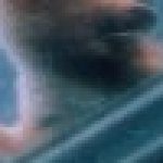 Profilbild von olegyno