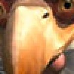 Profilbild von yvimyq