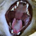 Profilbild von udykeduz