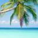 Profilbild von oqyhucif