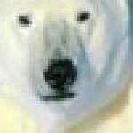 Profilbild von onubuvat