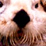 Profilbild von usegyg